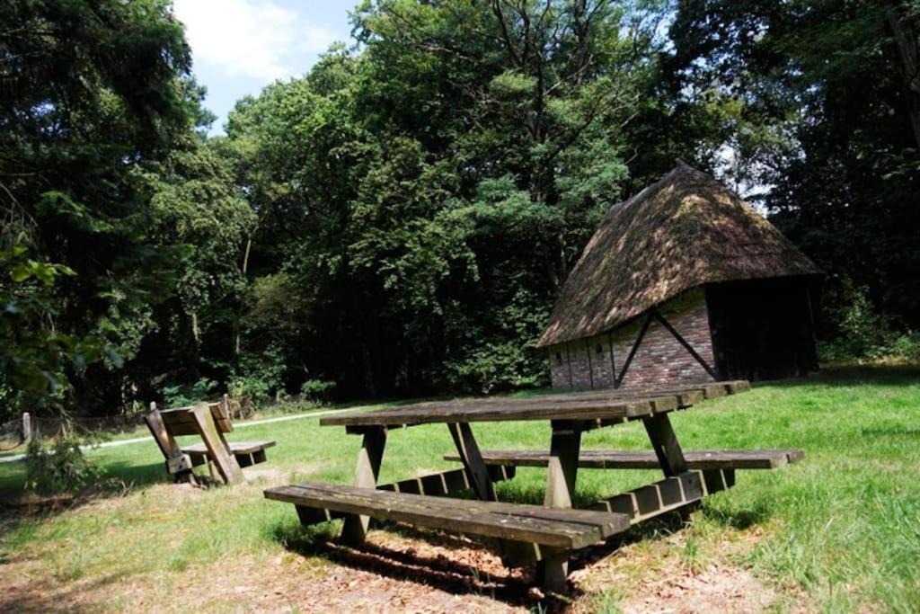Camping De Pallegarste Chalet 119 Marienberg Kültér fotó